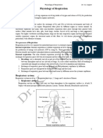 D77be476 C1ec 4034 A6e7 305113d3044dphysiology of Respiration