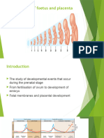 Development of Foetus and Placenta