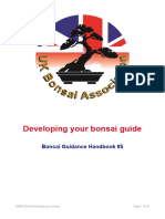 5 Ukba Bonsai Handbook Developing Your Bonsai