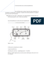 Anatomie Fonctionnelle de La Cellule Bactérienne