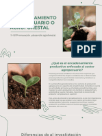 Encadenamiento Agropecuario o Forestal - 11-1 BTPIDA - I Semestre - I Paarcial