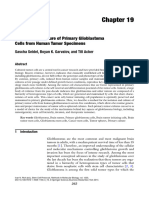 Isolation and Culture of Primary Glioblastoma Cells Form Human Tumor Specimens