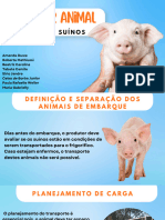 Bem-Estar Animal