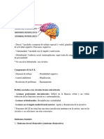 Neuro Resumen