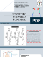 SEGMENTO MIEMBRO SUPERIOR-OSTEOLOGIA (1) (Solo Lectura)