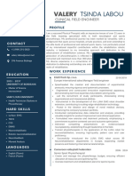 Valery Labou Professional CV Resume Apr 2024 CFE