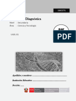 1ro - SECUNDARIA CT DIAGNÓSTICA 2024