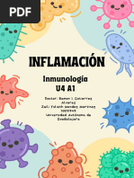 Inflamacion Final