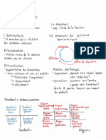 Anatomie Et Physiologie