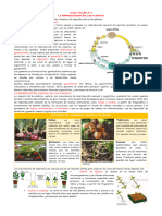 El Ciclo de Vida en Las Plantas