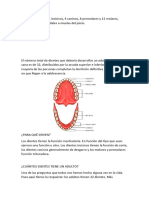 Tarea de Ciencias