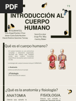 Introduccion Del Cuerpo Humano