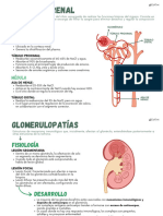 Mapas Nefrología