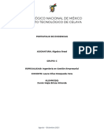 Portafolio de Evidencias Algebra