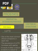 Lecture 15-16. BPH, Stricture Urethra, Varicocele, Spermatocele, Neonatal Hidronefrosis