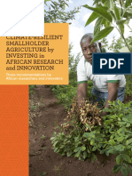 Smallholder Investment Brief African Perspective 2023