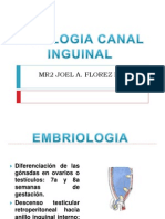 Patologia Canal Inguinal Resumen