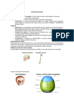 07 - Sist. Articular