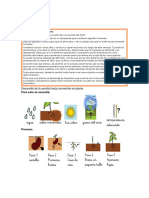 La Germinación