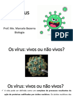 Vírus e Viroses