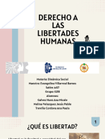 Derecho A La Libertades Humanas - DS