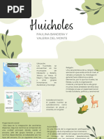 Los Indígenas en El México Actual HUICHOLES