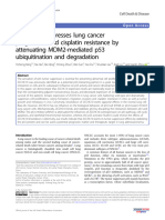 ZCCHC10 Suppresses Lung Cancer Progression and Cis