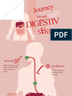 Digestive System