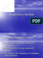 Respiratory System 