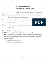 Unit 1: Human Body System Lesson 5: The Nervous and Endocrine System