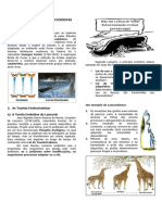 6.teoria Sintética Da Evolução