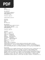 PDF Documento