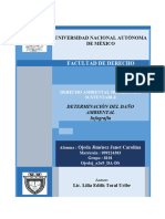 Ojedaj - A2u9 - DA-DS Determinación Del Daño Ambiental