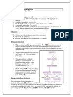 4.4 Respiration