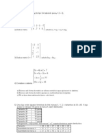 Exercícios Matrizes