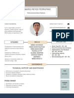 Mario Reyes Ferrufino - Curriculum Vitae - en