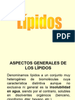 Lipidos Romy