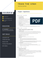 (FU) CV Intern .NET - Tran The Vinh