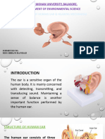 Human Ear PPT