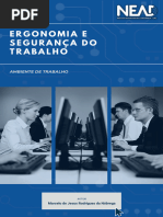 Ergonomia e Segurança Do Trabalho - MOD1 - UA3