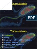 L5-Vibrio Cholerae