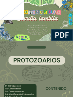 PROTOZOARIOS