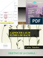 Las 38 Flores de Bach PDF