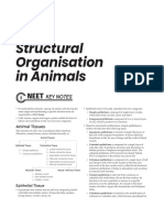 Structural Organisation in Animals