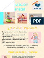 Estimulacion Pre Natal