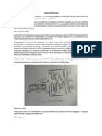 Resumen de Cadena de Electrones