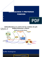 Clase 03 - Aminoácidos y Proteínas