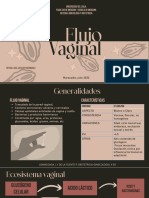 Flujo Vaginal Listas