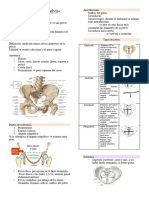 Pelvimetria y Anatomia