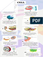 Infografia de Biologia